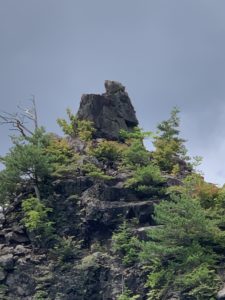エボシ岩の熊