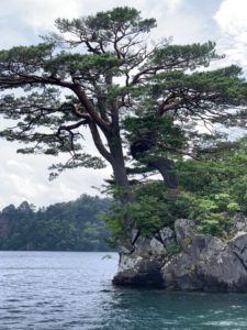 十和田湖の男松、女松。